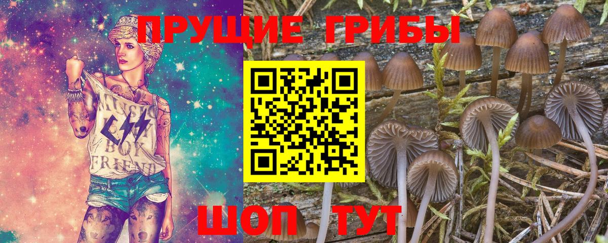 Галлюциногенные грибы GOLDEN TEACHER  Псилоцибиновые грибы ЛСД  Вход с VPN  Ярославль 