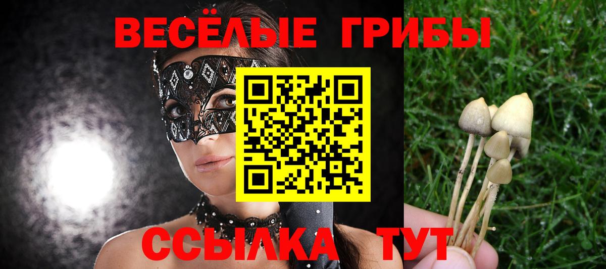 Псилоцибиновые грибы MAGIC MUSHROOMS Ярославль